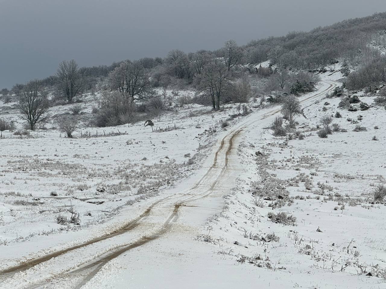 Tekirdağ’ın yüksek kesimlerinde yağan kar yağışı ormanları ve yolları beyaza