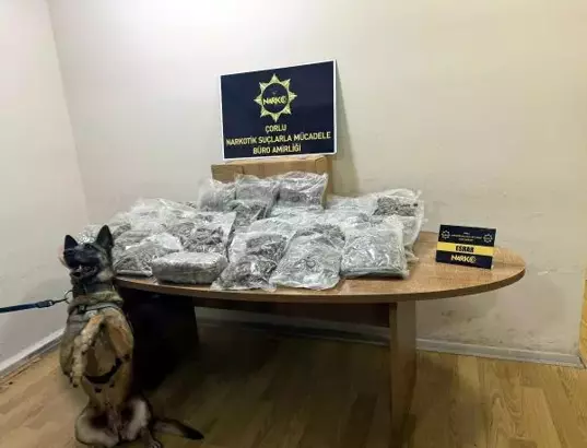 Tekirdağ’ın Çorlu ilçesinde polisin manavda arkotik köpeği ‘Larissa' ile yaptığı