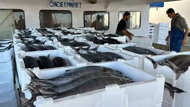 Tekirdağ'da balıkçılar, Marmara Denizi'nde 30 ton torik balığı avladı.