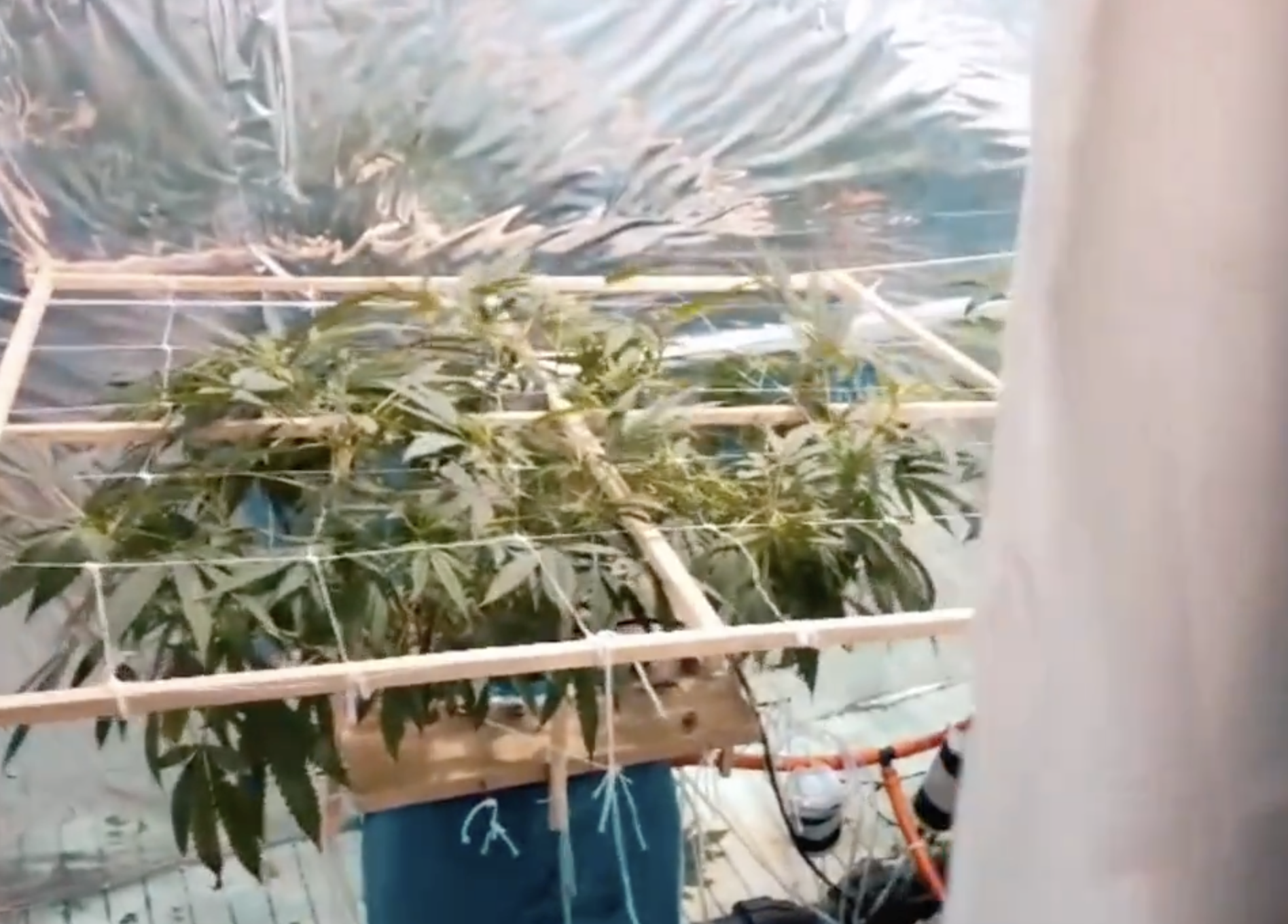 Tekirdağ'da, evinde yaptığı gizli bölmede uyuşturucu imal eden şüpheli, jandarma