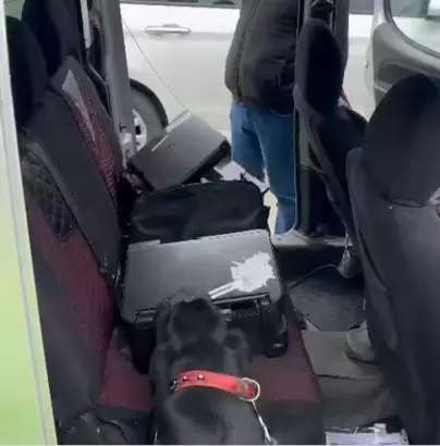 Tekirdağ'ın Marmaraereğlisi ilçesinde jandarmanın bir araçta narkotik köpek 'Limit' ile