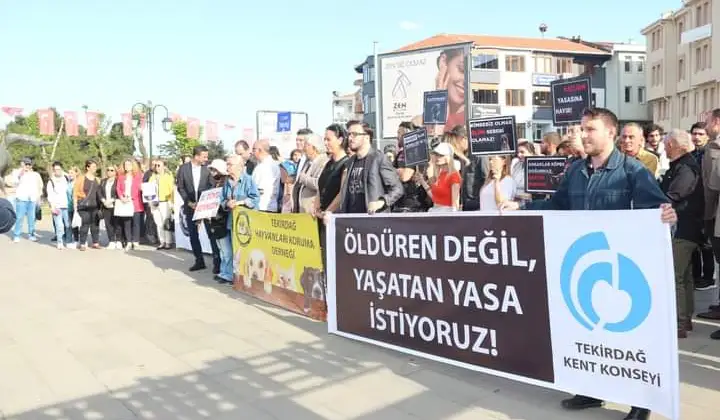 Tekirdağ Kent Konseyi, sokak hayvanlarının uyutulmasını öngören yasa tasarısını yaptığı