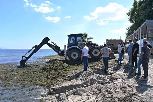 Tekirdağ Süleymanpaşa Belediyesi, Değirmenaltı Mahallesi sahilinde temizlik çalışması başlattı,