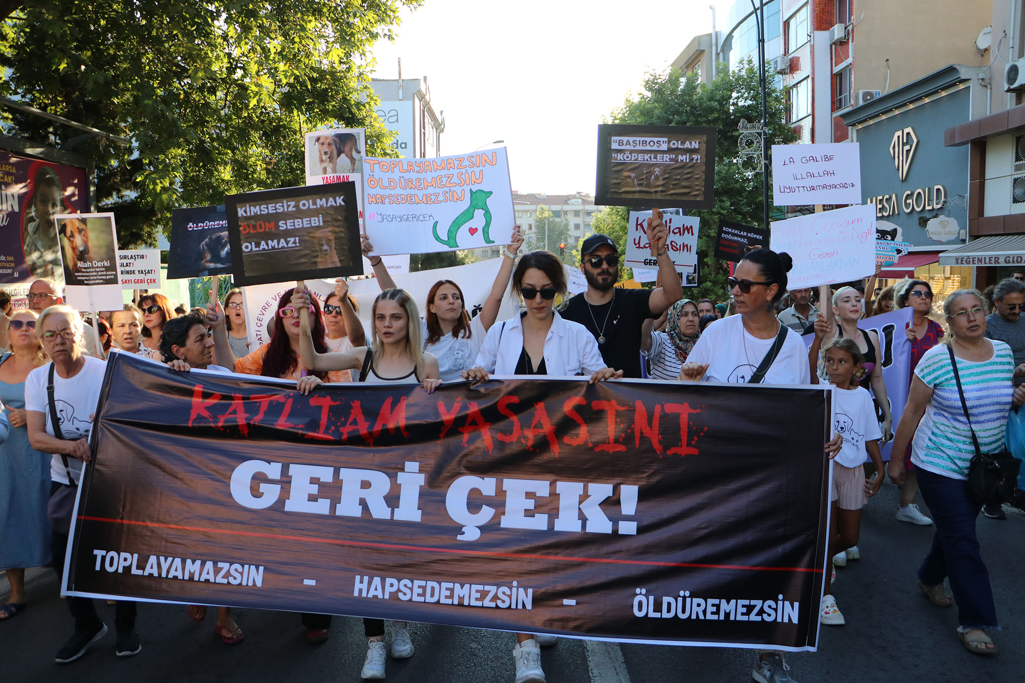 Tekirdağ’da yaşayan hayvan severler son günlerde gündemden düşmeyen Sokak Hayvanları