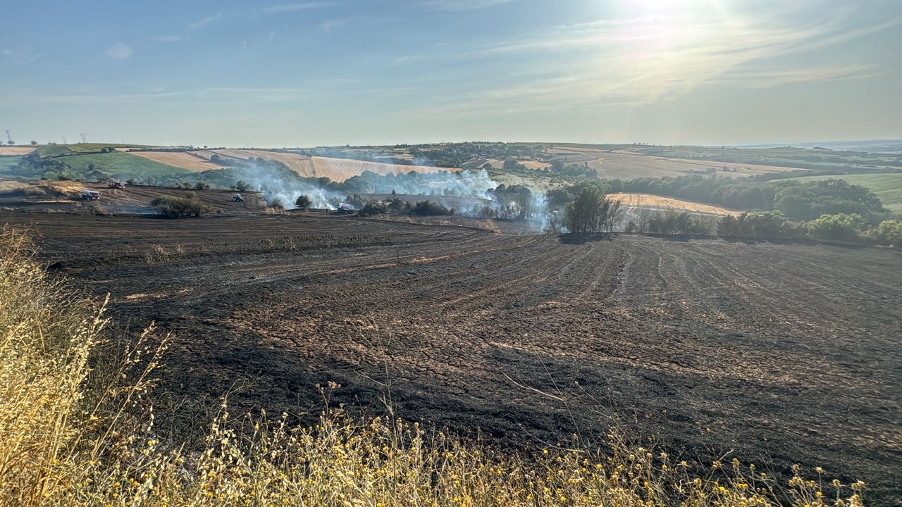 Tekirdağ’ın Süleymanpaşa ilçesine bağlı Seymenli mahallesinde 100 dönüm anız yandı.