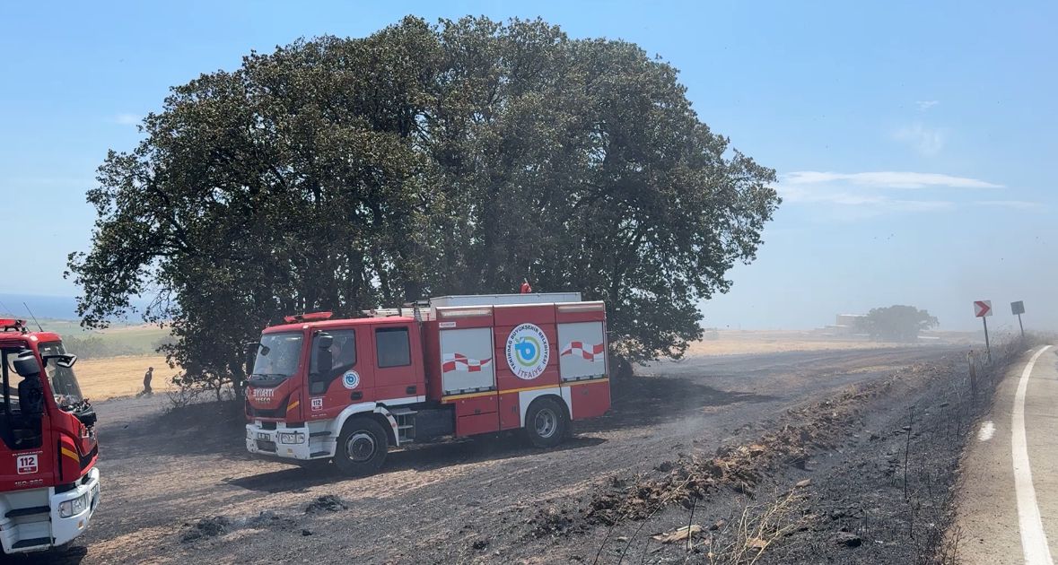 Tekirdağ’ın Süleymanpaşa ilçesine bağlı Köseilyas mahallesinde çıkan yangında 200 dönüm
