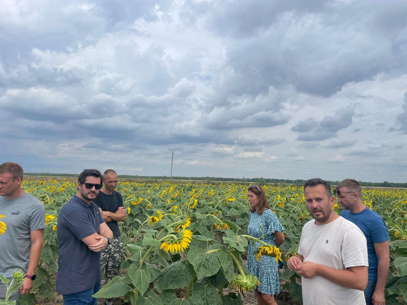 Tekirdağ'ın köklü tohum firmalarından Sarı Tohumculuktan Rusya çıkarması