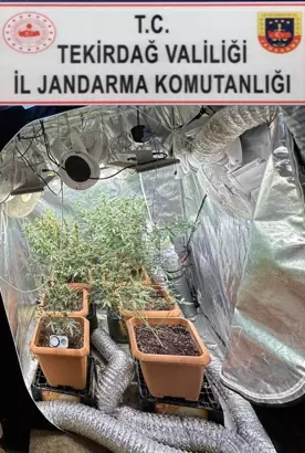  Tekirdağ'ın Çorlu ilçesinde evine kurduğu iklimlendirme sistemiyle kenevir yetiştiren A.S.Ü.