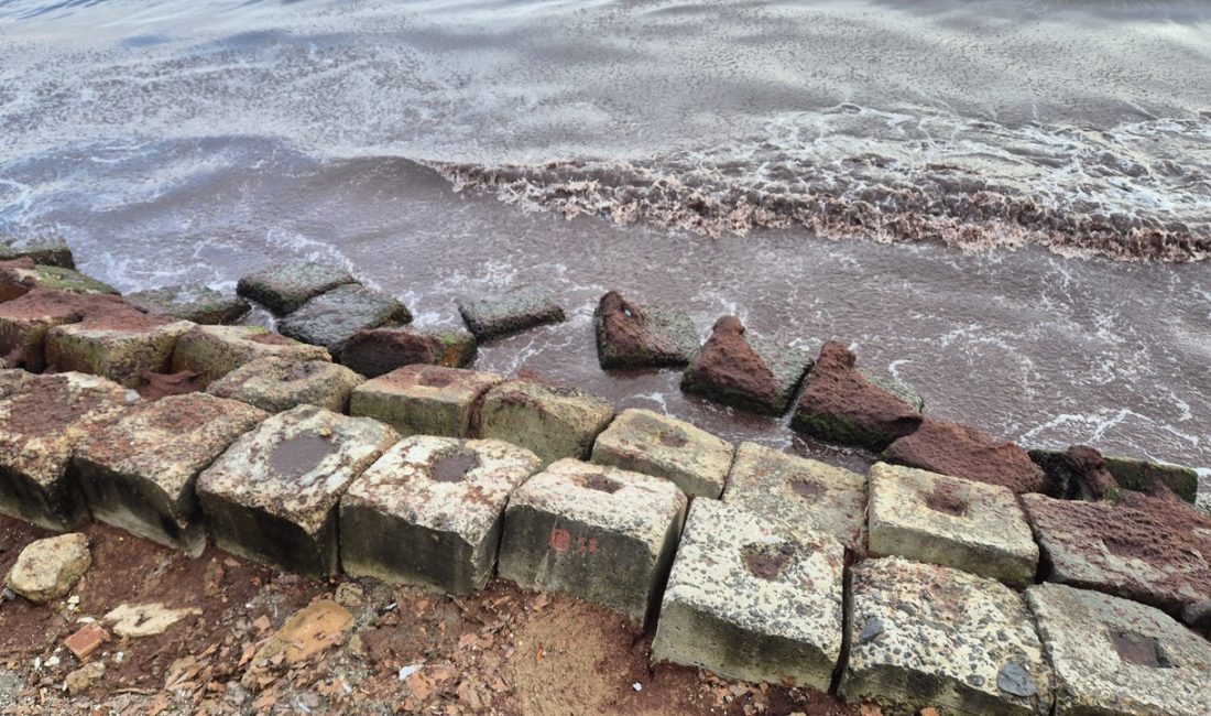 Tekirdağ Kıyıları Kırmızı Yosunla Kaplandı Marmara Denizinin Tekirdağ kıyılarında iki gündür etkisini sürdüren rüzgar nedeniyle