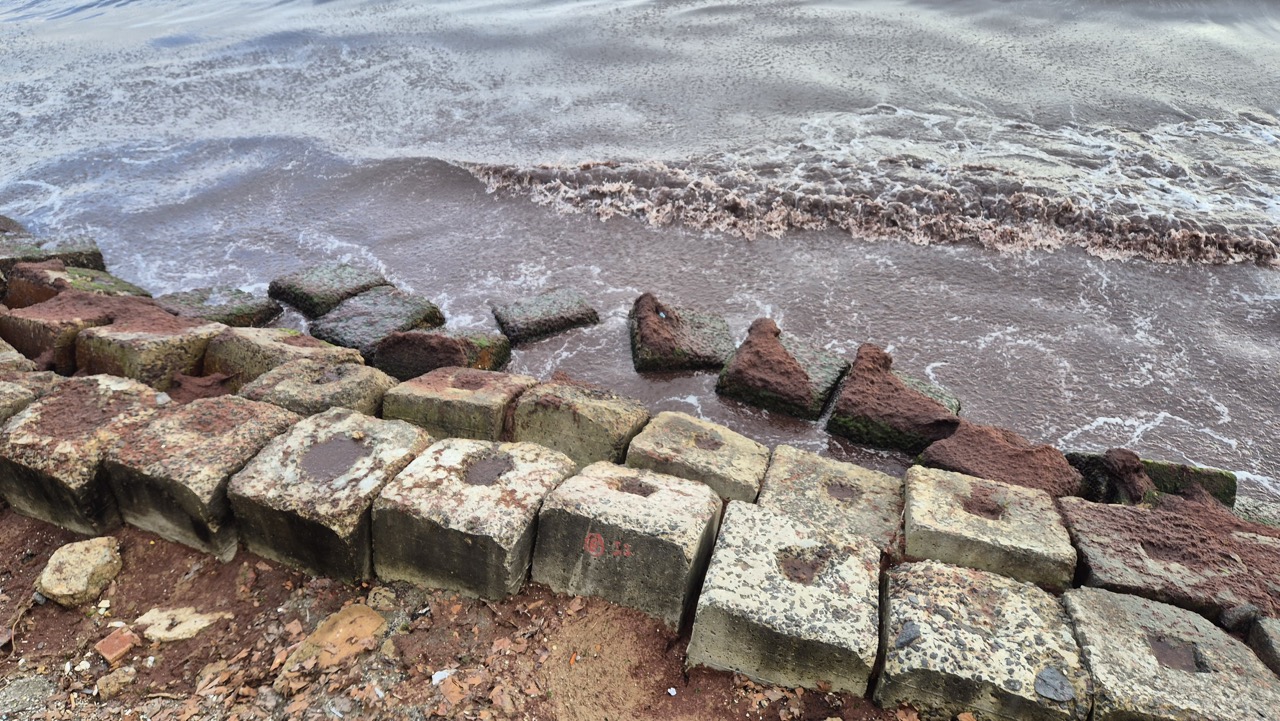 Marmara Denizinin Tekirdağ kıyılarında iki gündür etkisini sürdüren rüzgar nedeniyle