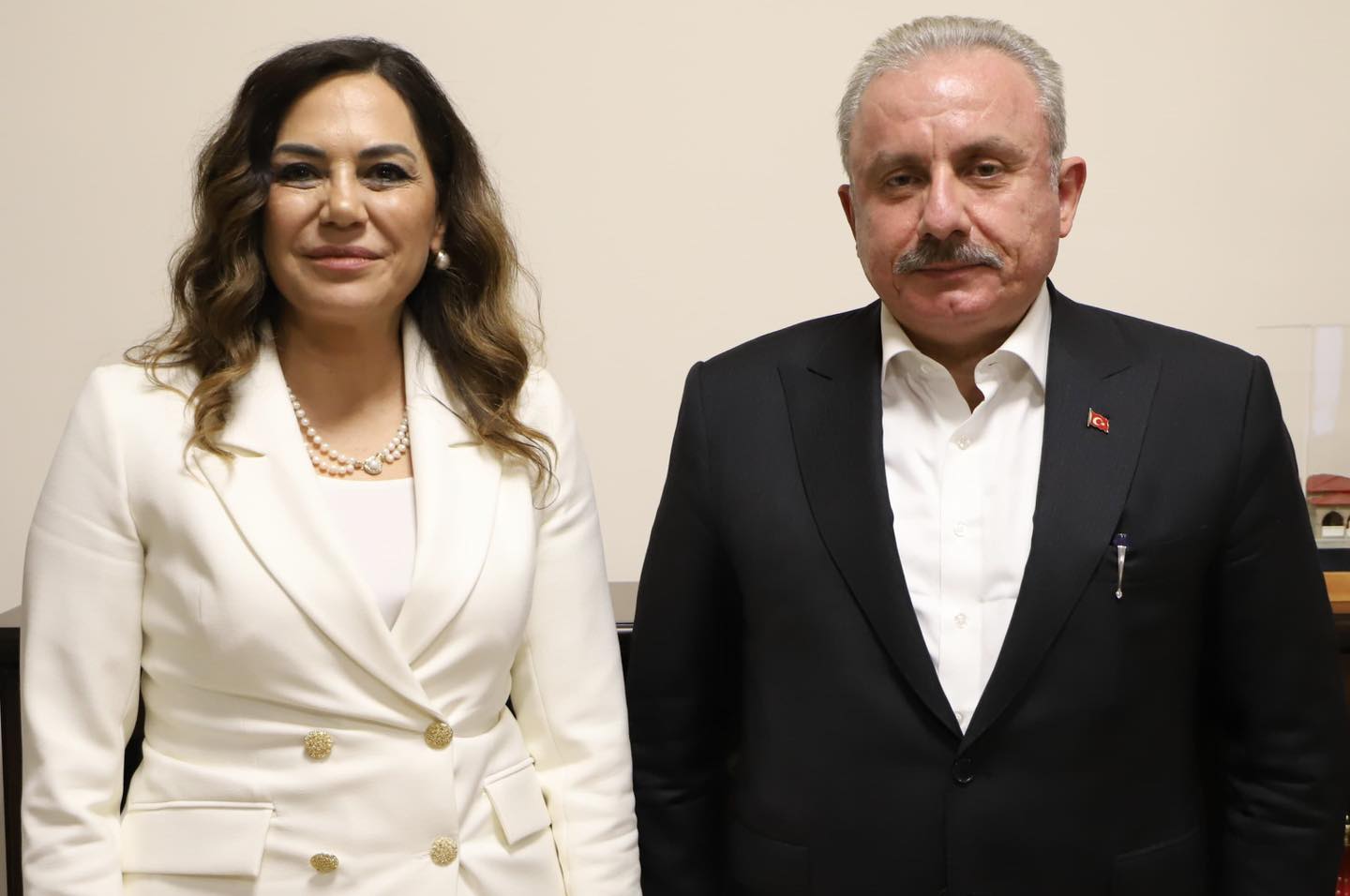 Tekirdağ Büyükşehir Belediye Başkanı Dr. Candan Yüceer, Ankara'da bir dizi