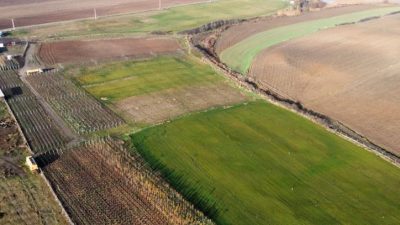 Çorlu Belediyesi Park ve Bahçeler Müdürlüğü ekipleri, 2024 yılında da