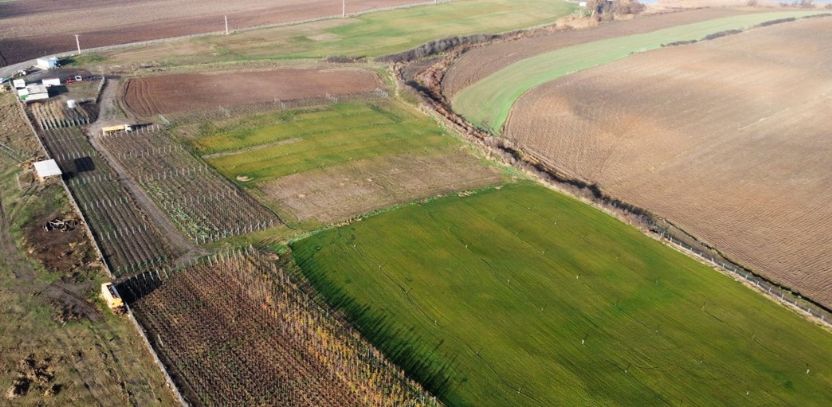 Başkan Sarıkurt: “Daha Yeşil Bir Çorlu İçin Çalışıyoruz” Çorlu Belediyesi Park ve Bahçeler Müdürlüğü ekipleri, 2024 yılında da