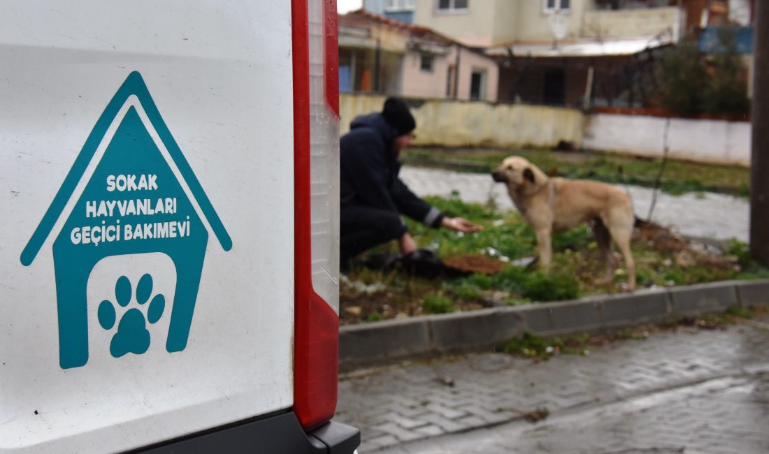 Süleymanpaşa Belediyesi Olumsuz Hava Koşullarında da Can Dostlarının Yanında Süleymanpaşa Belediyesi ekipleri, kar ve yağmur yağışıyla birlikte soğuk havanın