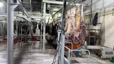 Tekirdağ İl Tarım ve Orman Müdürlüğü ekipleri tarafından, Hayrabolu'da kaçak