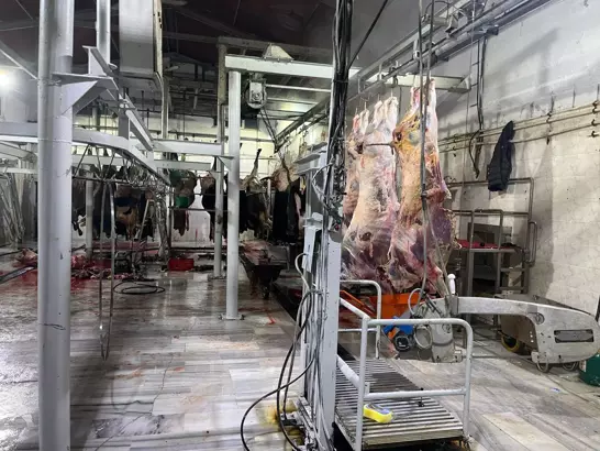 Tekirdağ İl Tarım ve Orman Müdürlüğü ekipleri tarafından, Hayrabolu'da kaçak