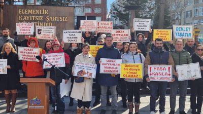Çorlu Belediye Başkanı Ahmet Sarıkurt, ilçede zaman zaman etkili olan