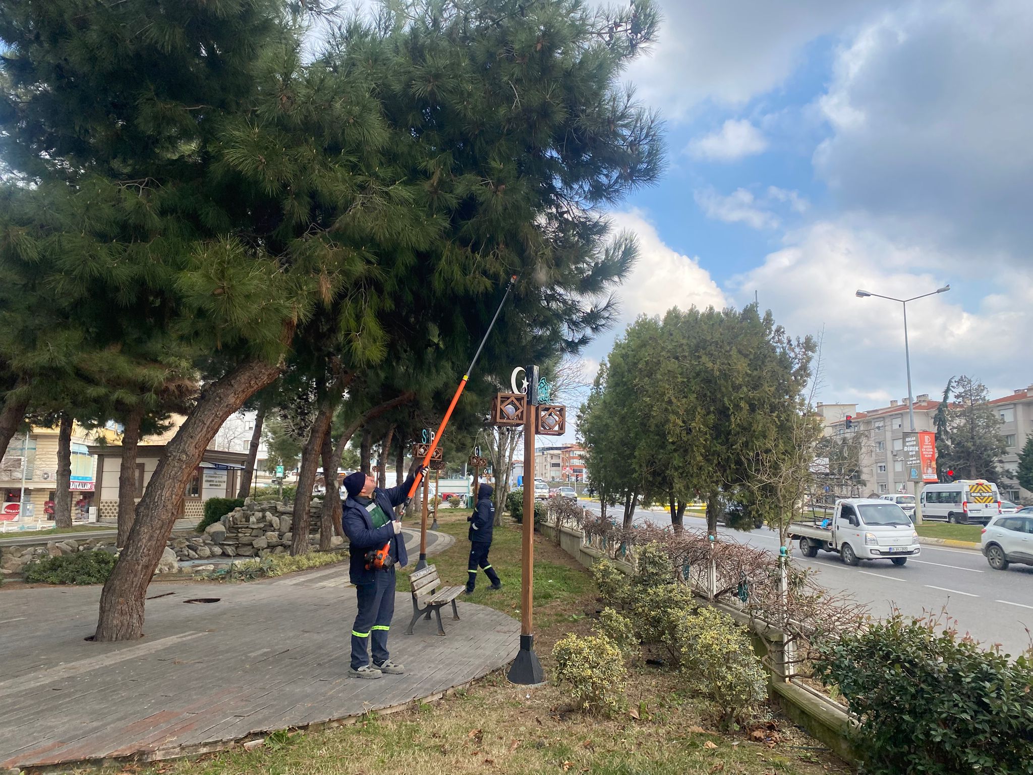 Süleymanpaşa Belediyesi, ağaçlara ciddi zararlar veren çam kese böceğiyle mücadele