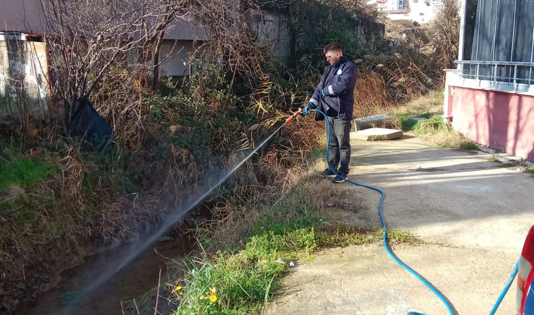 Süleymanpaşa Belediyesi sivrisinek mücadelesine erken başladı. Ocak ayı itibariyle Veteriner