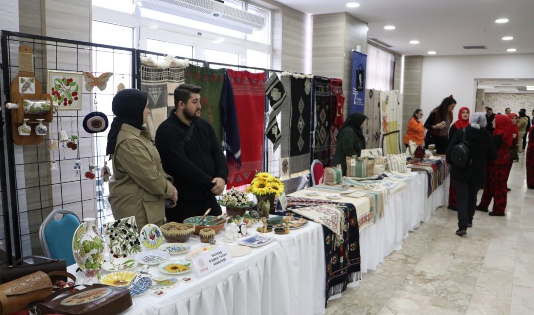 Tekirdağlı Kadın Girişimcilere E-Ticaret Eğitimi Verildi Trakya Kalkınma Ajansı, Tekirdağ Büyükşehir Belediyesi ve Demet Sabancı Çetindoğan’ın