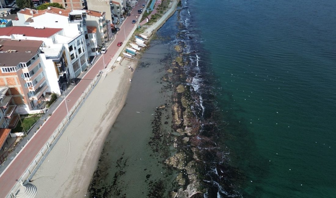 Tekirdağ’ın Süleymanpaşa ilçesi kıyılarında deniz 10 metre çekildi. Tarihi Kral