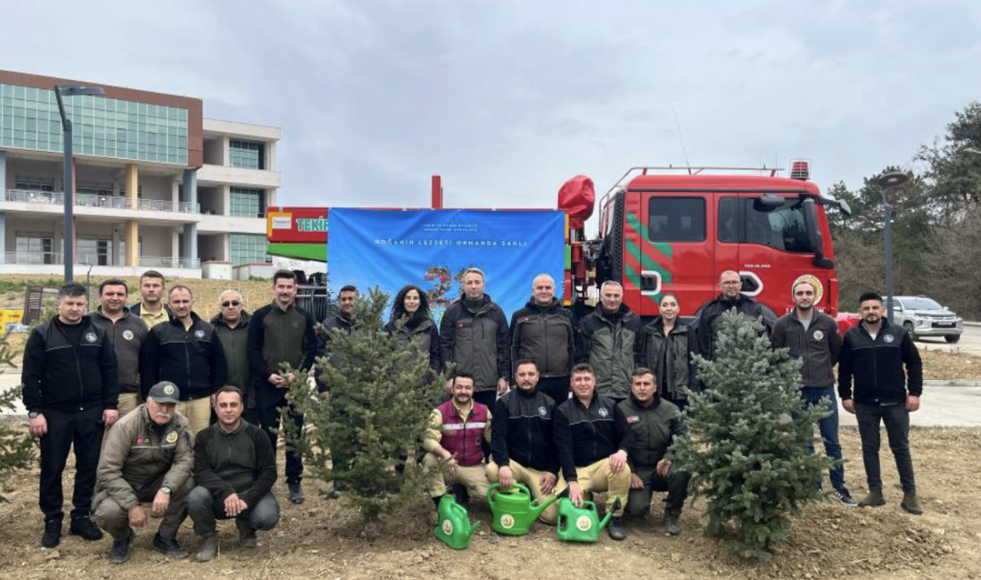 Tekirdağ’da 300 Bin Fidan Toprakla Buluşacak Tekirdağ Orman İşletme Müdürlüğü, kenti daha yeşil bir hale getirmek