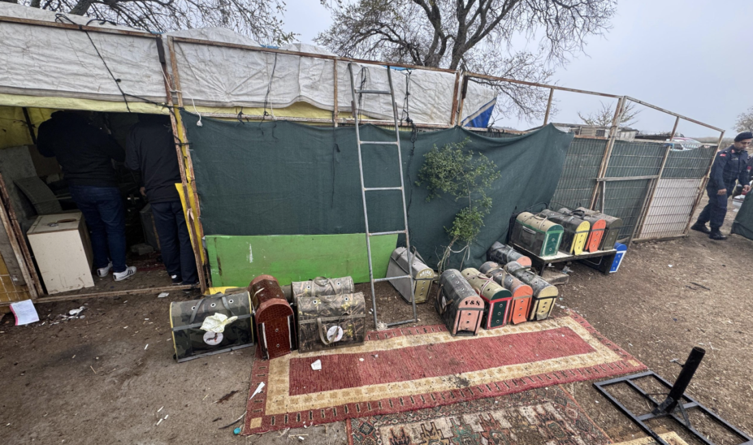 Tekirdağ’da Horoz Dövüşüne Baskın Tekirdağ’ın Süleymanpaşa ilçesinde bir çiftlikte horoz dövüştürüldüğü ihbarı üzerine jandarma