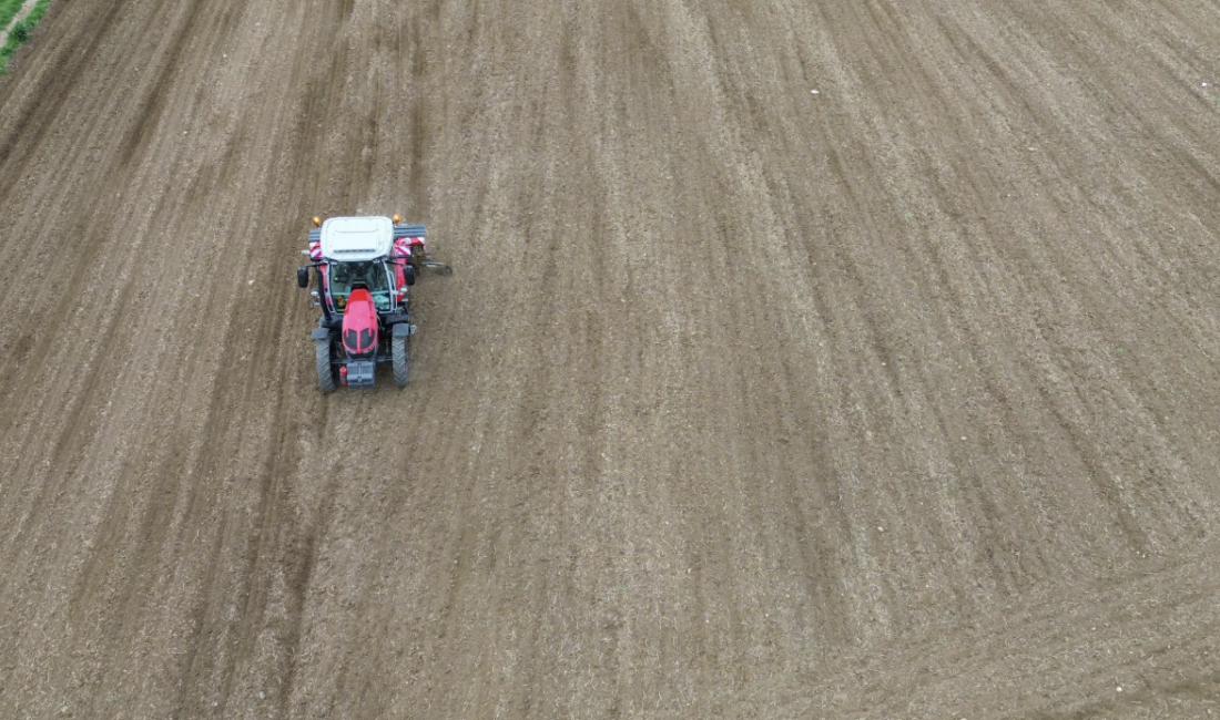 Türkiye’nin en önemli ayçiçeği üretim merkezlerinden biri olan Tekirdağ’da, 1