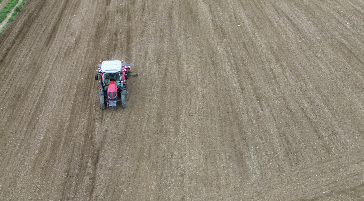 Türkiye’nin en önemli ayçiçeği üretim merkezlerinden biri olan Tekirdağ’da, 1