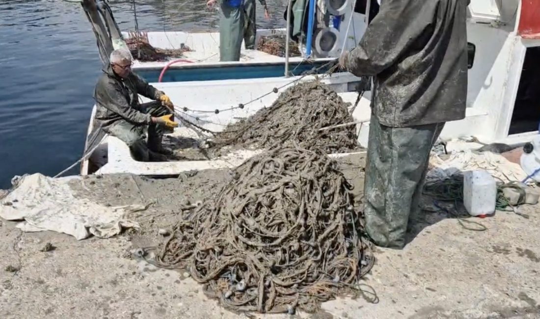 Müsilaj Yüzünden Av Sezonu Erken Kapandı Tekirdağ’ın Süleymanpaşa ilçesinde avlanmaya çıkan balıkçılar Marmara denizinin dibinde etkili