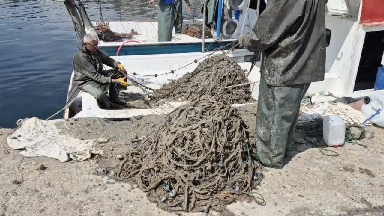Tekirdağ’ın Süleymanpaşa ilçesinde avlanmaya çıkan balıkçılar Marmara denizinin dibinde etkili