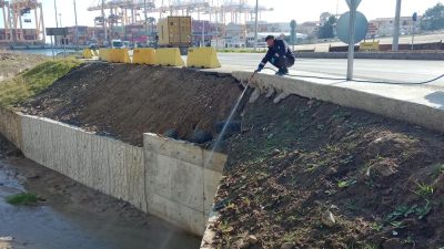 Süleymanpaşa Belediyesi, Ocak ayında başladığı sivrisinek mücadelesine ara vermeden devam