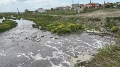 Tekirdağ'da Çevre, Şehircilik ve İklim Değişikliği Müdürlüğü ekipleri, yılın ilk