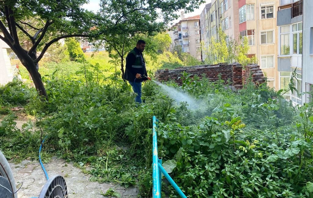 Süleymanpaşa Belediyesi Yaz Hazırlıklarını Tamamlıyor Süleymanpaşa Belediyesi, yaz mevsimine hazırlık kapsamında ilçenin dört bir yanında