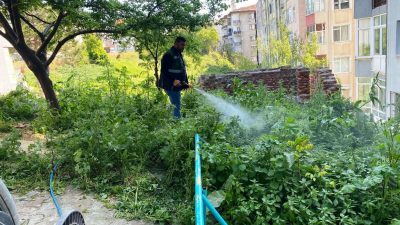 Süleymanpaşa Belediyesi, yaz mevsimine hazırlık kapsamında ilçenin dört bir yanında