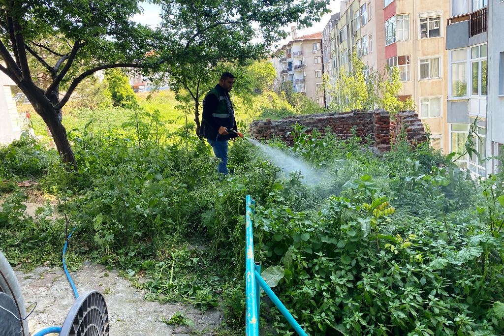 Süleymanpaşa Belediyesi, yaz mevsimine hazırlık kapsamında ilçenin dört bir yanında