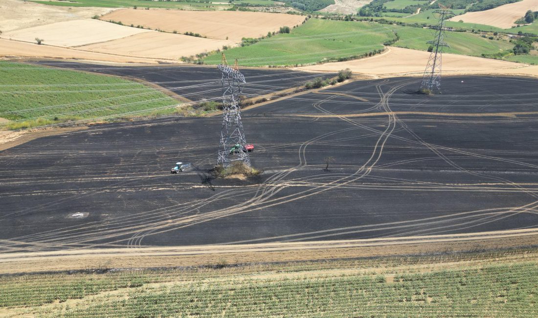 Trakya’da son günlerde farklı bölgelerde çıkan anız ve ekili arazi