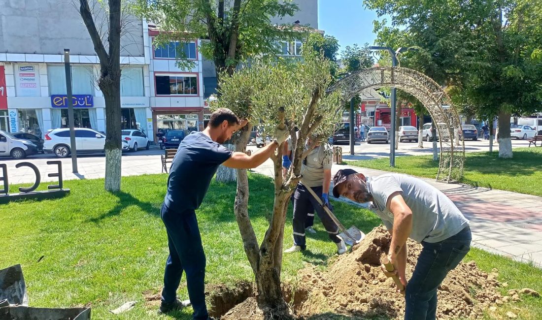 Tekirdağ’ın Saray ilçesinde, barışı, bilgeliği ve bereketi simgeleyen 4 adet