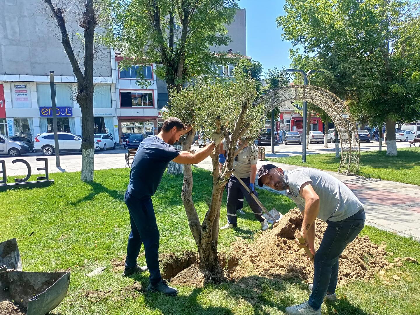 Tekirdağ’ın Saray ilçesinde, barışı, bilgeliği ve bereketi simgeleyen 4 adet