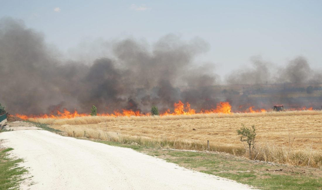 Hayrabolu’da Buğday Tarlasında Çıkan Yangın Söndürüldü Tekirdağ’ın Hayrabolu ilçesine bağlı Çıkrıkçı Mahallesi’nde buğday ekili bir tarlada