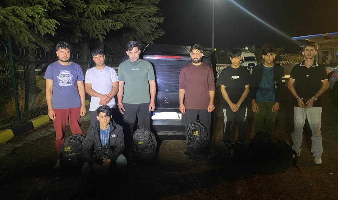 Tekirdağ’ın Ergene ilçesinde düzenlenen denetimlerde yasa dışı yollarla yurda girdiği