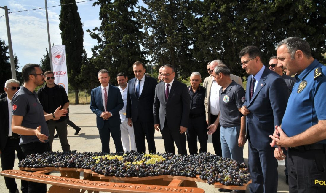 Tekirdağ’da Yeni Üzüm Çeşitleri Tanıtıldı Tekirdağ Bağcılık Araştırma Enstitüsü’nün AR-GE çalışmalarıyla geliştirilen, yüksek kalite ve