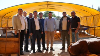 Çorlu Belediye Başkanı Ahmet Sarıkurt, Kurban Bayramı’nda ilçedeki kurban pazarı