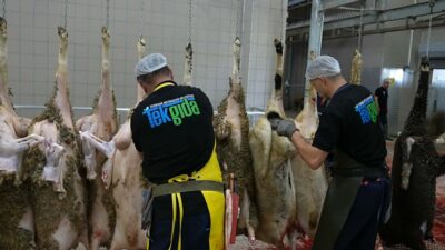 Tekirdağ Büyükşehir Belediyesi, Kurban Bayramı boyunca vatandaşların kurban ibadetlerini sağlıklı,