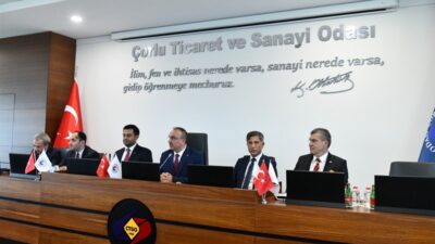 Kapasite Geliştirme Destek Programı; küçük ve orta ölçekli işletmelerin (KOBİ),