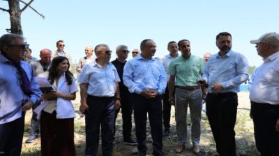 Sahipsiz Hayvan Doğal Yaşam Alanı Ziyareti Tekirdağ Tekirdağ valisi Sn.