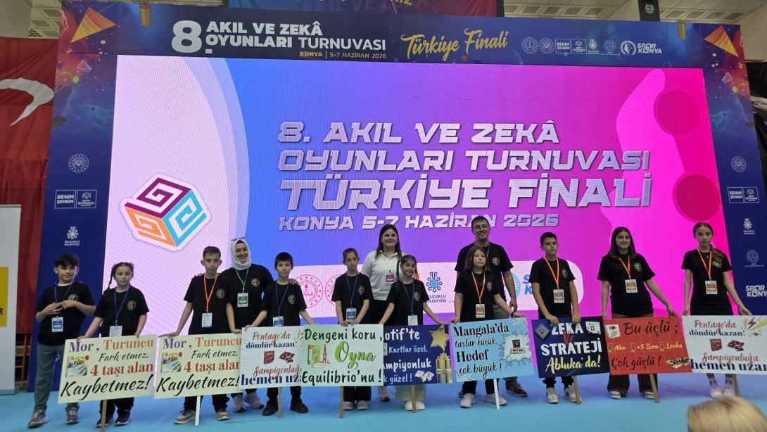 Tüm Akıl ve Zekâ Oyunları Federasyonu (TAZOF) tarafından düzenlenen 8.
