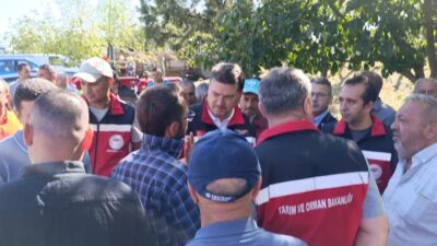 ​Süleymanpaşa ilçesinde etkili olan dolu yağışının ardından tarımsal üretim alanlarında