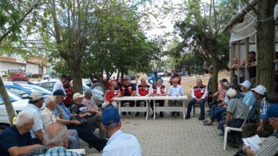 ​Tekirdağ’da etkili olan dolu yağışının ardından başlatılan hasar tespit çalışmaları