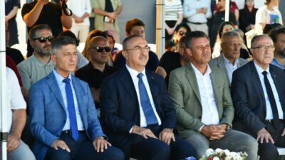 Sokak hayvanlarının güvenli, sağlıklı ve doğal bir ortamda yaşamlarını sürdürebilmesi